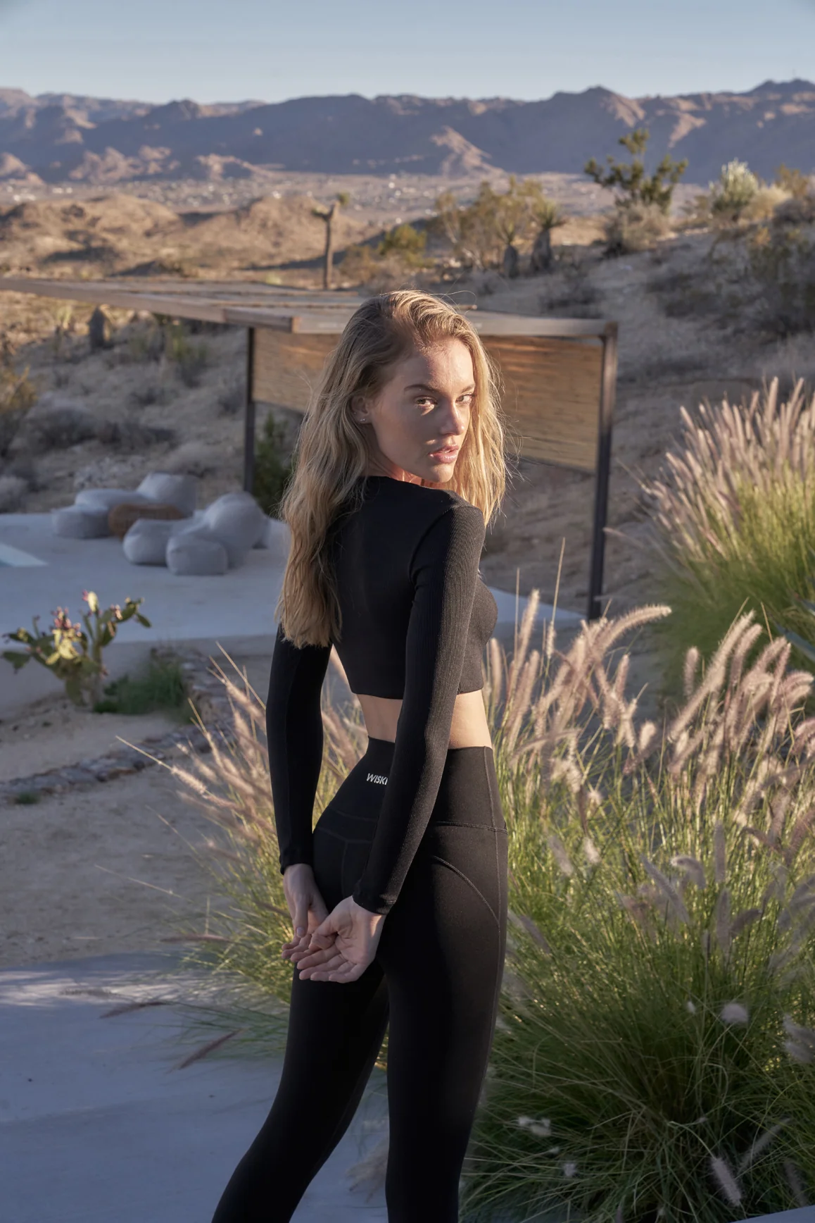 Elegant Long Sleeve Crop Top - Image 6